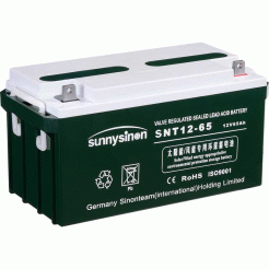 赛能蓄电池SNT12-65