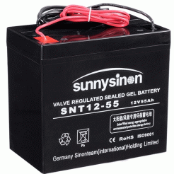 赛能蓄电池SNT12-55